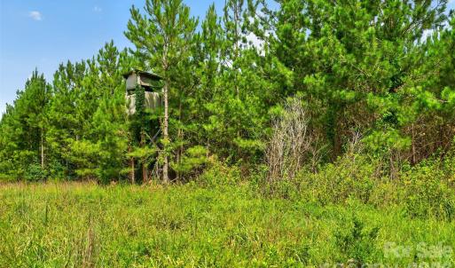 Photo #14 of Westbrook, Edgemoor, SC