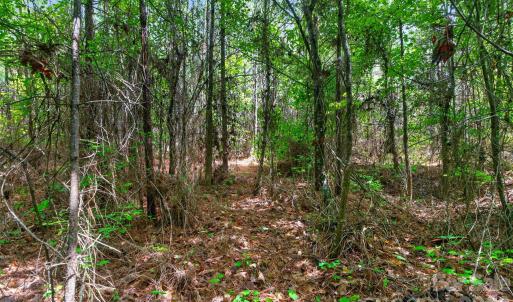 Photo #22 of Westbrook, Edgemoor, SC