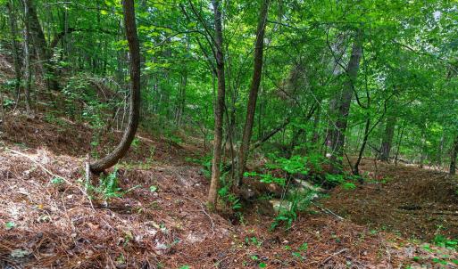 Photo #42 of Westbrook, Edgemoor, SC