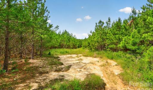Photo #40 of Westbrook, Edgemoor, SC
