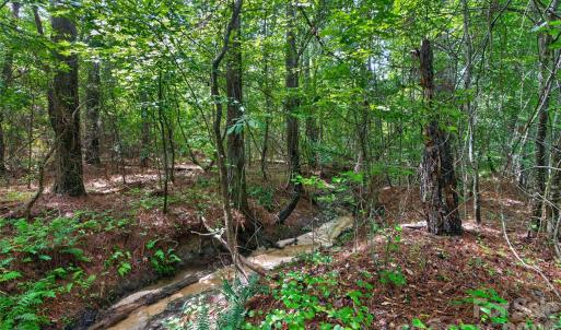 Photo #26 of Westbrook, Edgemoor, SC