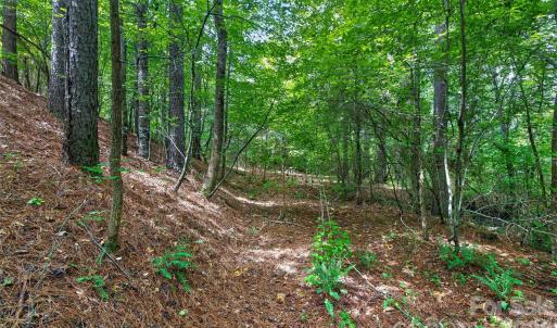 Photo #44 of Westbrook, Edgemoor, SC