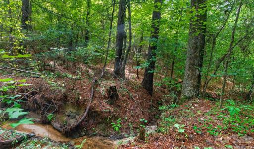 Photo #45 of Westbrook, Edgemoor, SC