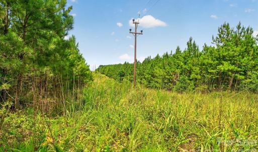 Photo #9 of Westbrook, Edgemoor, SC