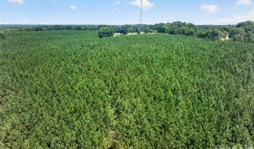 Photo #19 of Westbrook, Edgemoor, SC