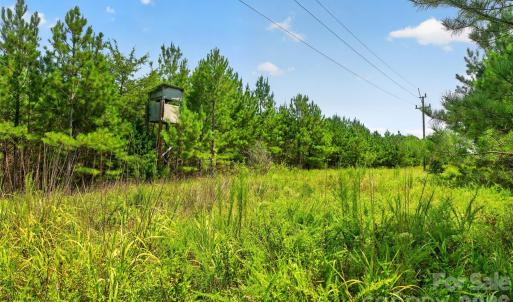 Photo #47 of Westbrook, Edgemoor, SC