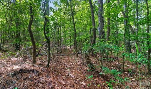 Photo #15 of Westbrook, Edgemoor, SC