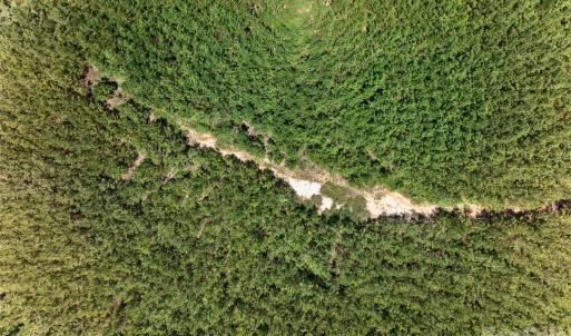 Photo #29 of Westbrook, Edgemoor, SC