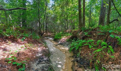 Photo #13 of Westbrook, Edgemoor, SC