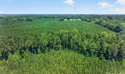 Photo #17 of Westbrook, Edgemoor, SC
