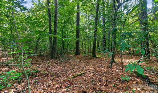 Photo #24 of Westbrook, Edgemoor, SC