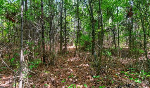 Photo #21 of Westbrook, Edgemoor, SC