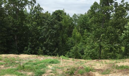 Photo #8 of 552 Placid, Fort Mill, SC