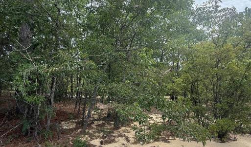 Photo #4 of TBD Sheridan Oliver, Ruby, SC