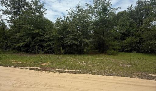 Photo #2 of TBD Sheridan Oliver, Ruby, SC