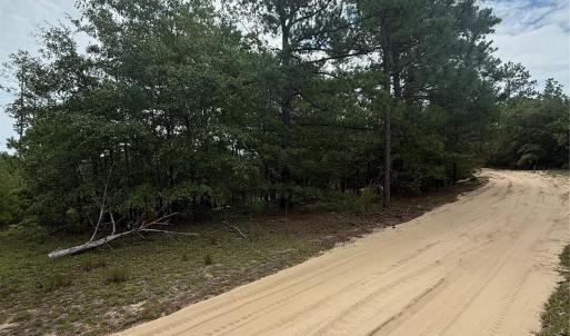 Photo #3 of TBD Sheridan Oliver, Ruby, SC