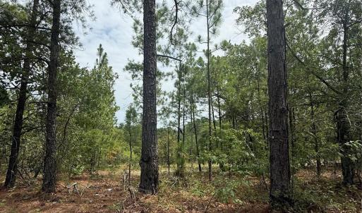 Photo #1 of TBD Sheridan Oliver, Ruby, SC