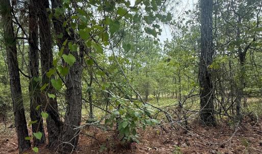 Photo #4 of TBD Sheridan Oliver, Ruby, SC