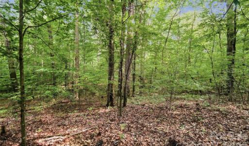 Photo #3 of VAC Pond, Locust, NC