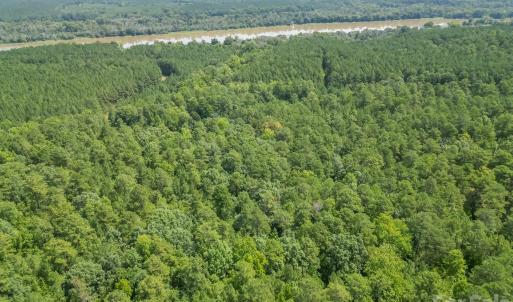Photo #15 of Riverbluff, Lilesville, NC