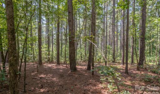 Photo #26 of Riverbluff, Lilesville, NC