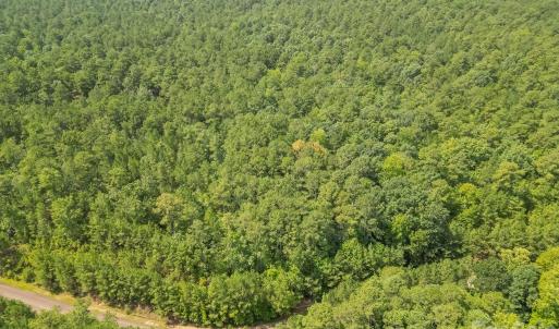 Photo #16 of Riverbluff, Lilesville, NC