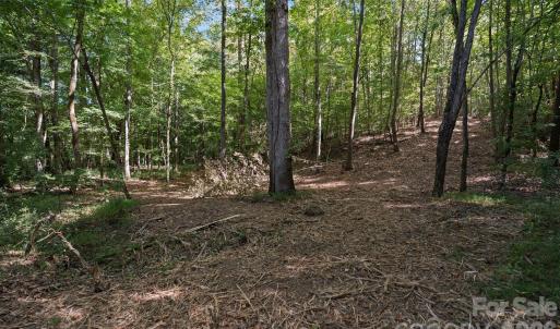 Photo #43 of 630 Turkey Creek Ridge, York, SC