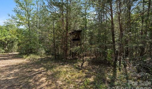 Photo #32 of 630 Turkey Creek Ridge, York, SC