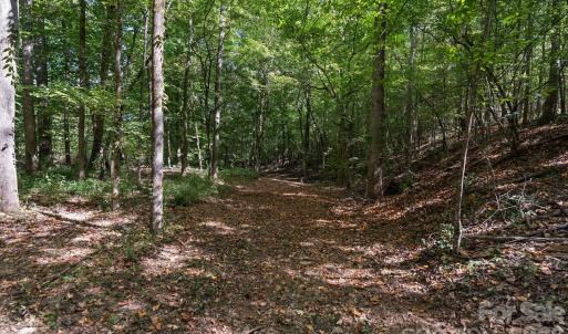 Photo #40 of 630 Turkey Creek Ridge, York, SC