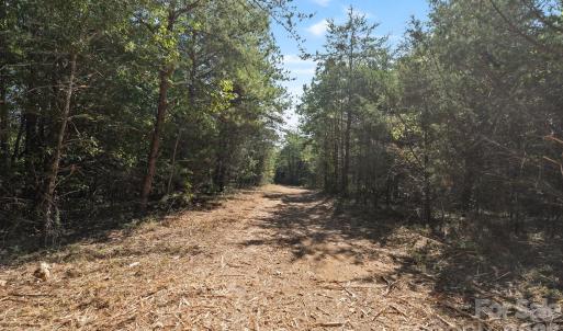 Photo #25 of 630 Turkey Creek Ridge, York, SC