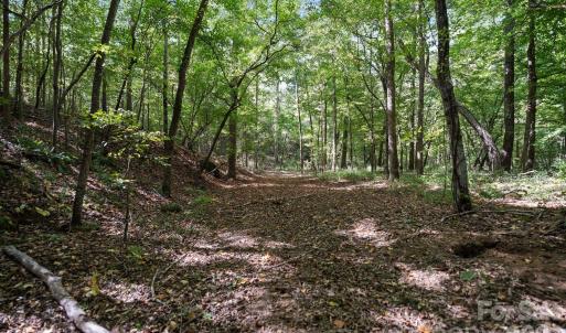 Photo #7 of 630 Turkey Creek Ridge, York, SC
