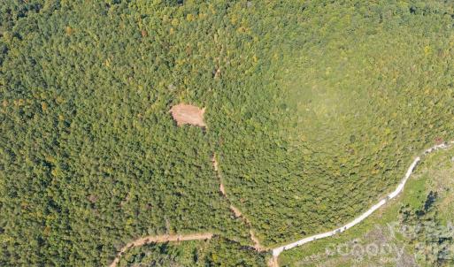 Photo #10 of 630 Turkey Creek Ridge, York, SC