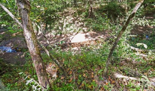 Photo #38 of 630 Turkey Creek Ridge, York, SC