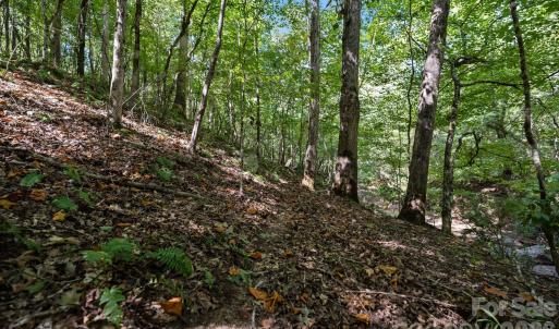 Photo #37 of 630 Turkey Creek Ridge, York, SC