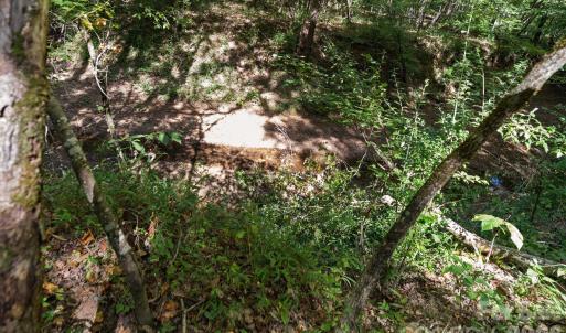 Photo #28 of 630 Turkey Creek Ridge, York, SC
