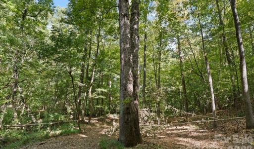 Photo #5 of 630 Turkey Creek Ridge, York, SC