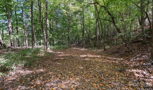 Photo #8 of 630 Turkey Creek Ridge, York, SC