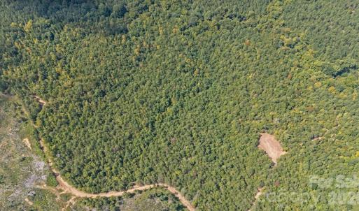 Photo #13 of 630 Turkey Creek Ridge, York, SC