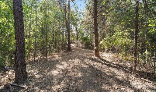 Photo #30 of 630 Turkey Creek Ridge, York, SC