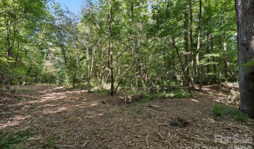 Photo #44 of 630 Turkey Creek Ridge, York, SC