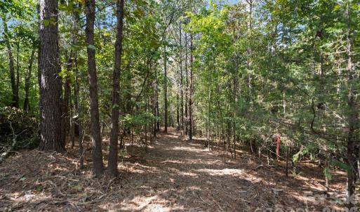 Photo #31 of 630 Turkey Creek Ridge, York, SC