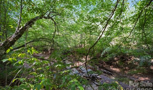 Photo #11 of 630 Turkey Creek Ridge, York, SC