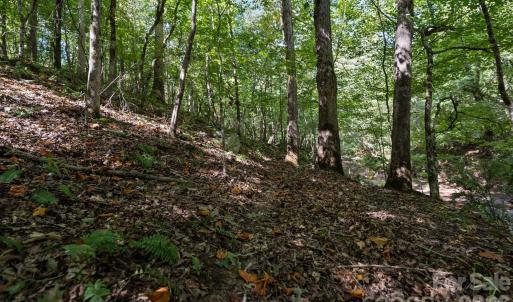 Photo #36 of 630 Turkey Creek Ridge, York, SC