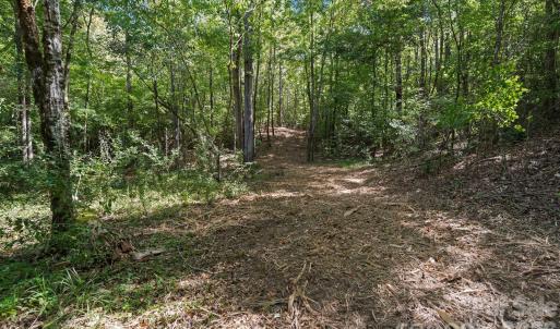 Photo #35 of 630 Turkey Creek Ridge, York, SC