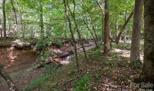 Photo #39 of 630 Turkey Creek Ridge, York, SC