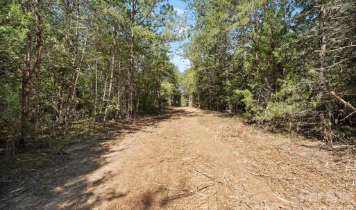Photo #26 of 630 Turkey Creek Ridge, York, SC