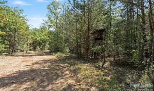 Photo #33 of 630 Turkey Creek Ridge, York, SC
