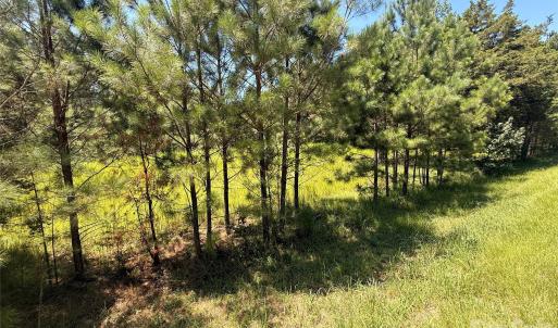 Photo #6 of 3273 Lizzie Melton, Chester, SC