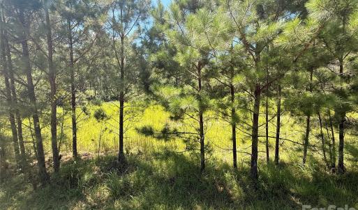 Photo #4 of 3273 Lizzie Melton, Chester, SC