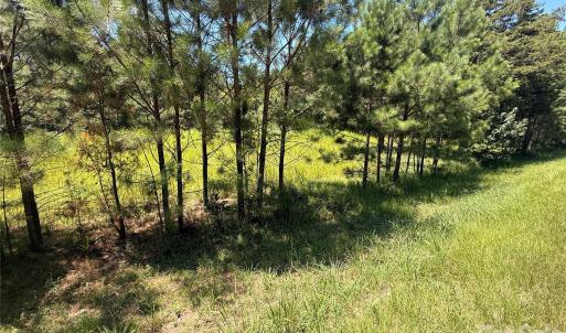 Photo #7 of 3273 Lizzie Melton, Chester, SC